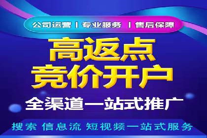 SEM竞价技巧：成功案例揭秘